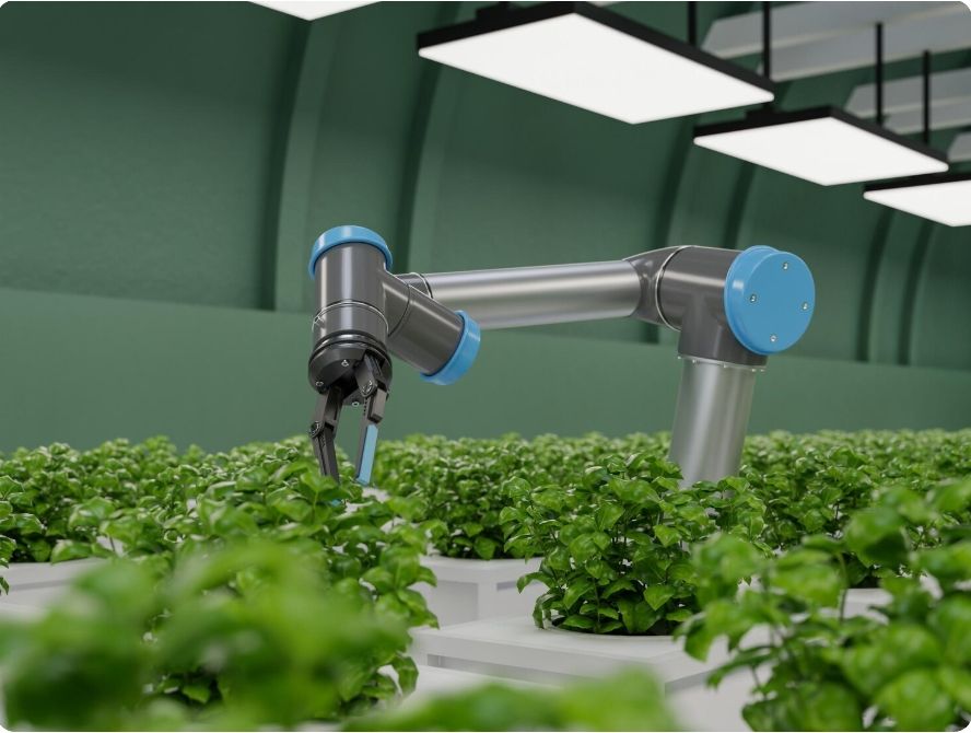 Robots pollinisateurs : une solution miracle ou un aveu d’échec ?