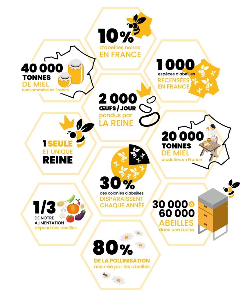 les abeilles en chiffres