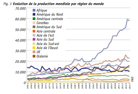 le miel dans le monde