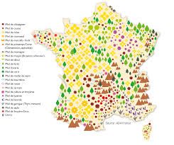 le marché du miel et l'importance du développement de l'apiculture en France